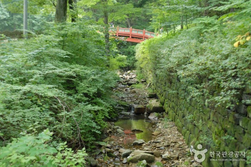 宝石寺 (6/21)