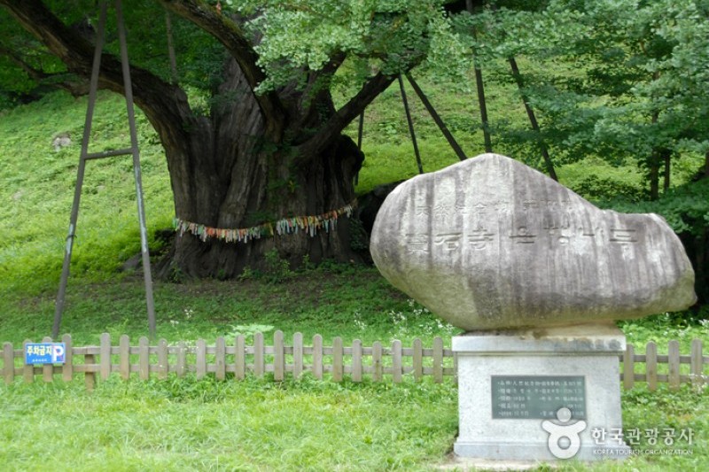 宝石寺 (11/21)