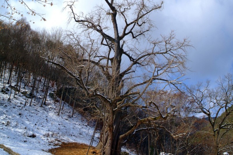 宝石寺 (21/21)