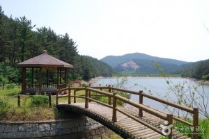 フィリ山海松自然休養林
