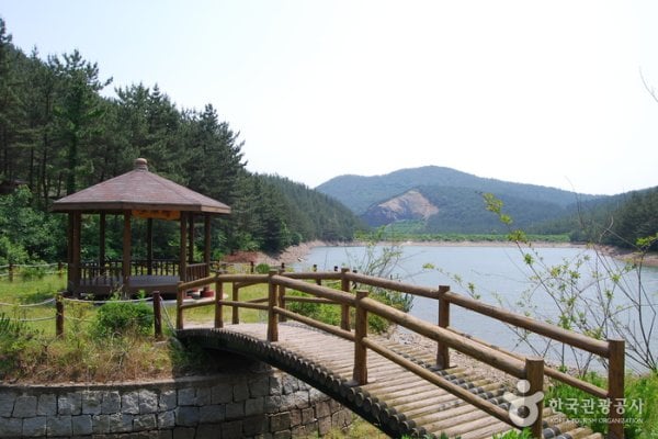 フィリ山海松自然休養林