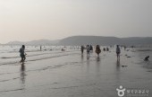 夢山浦海水浴場