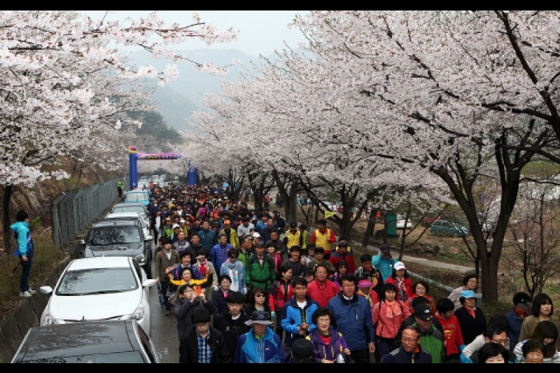 山花の国、山花祭り (1/3)