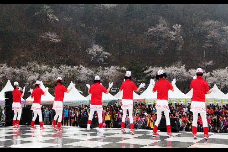 山花の国、山花祭り (3/3)