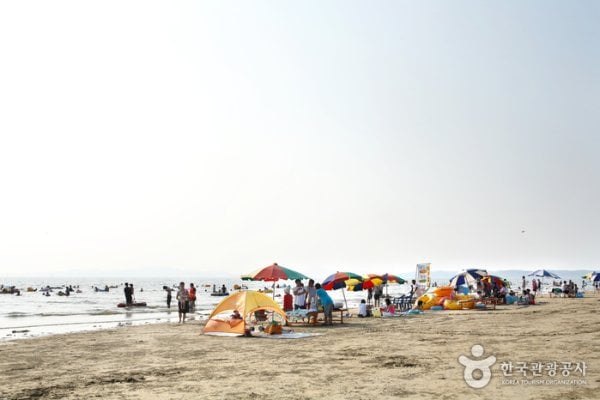 青浦台海水浴場
