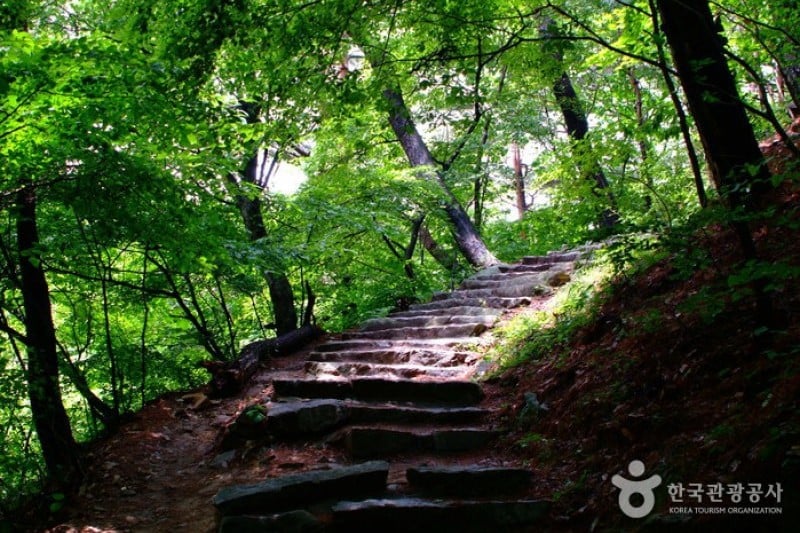 開心寺（瑞山市）（개심사 (1/4)