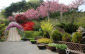 コウン植物園