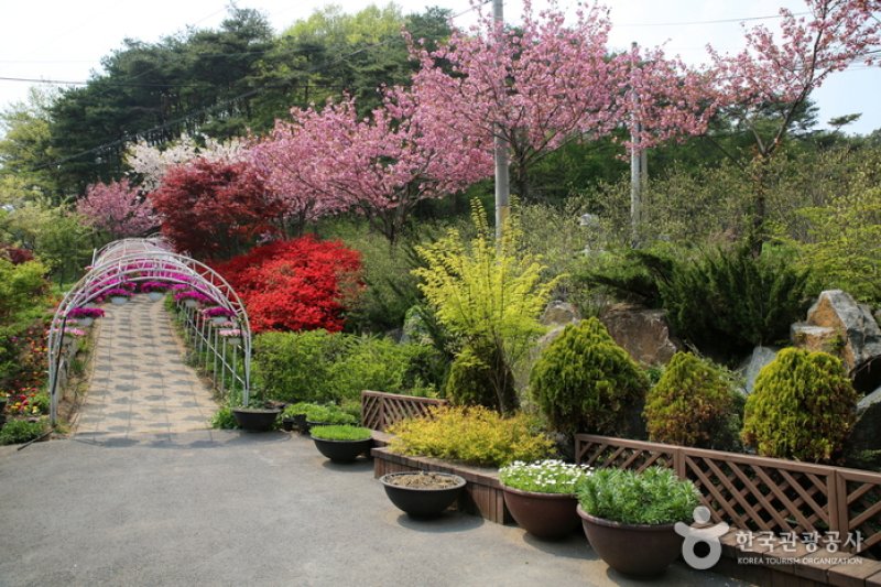 コウン植物園 (1/27)