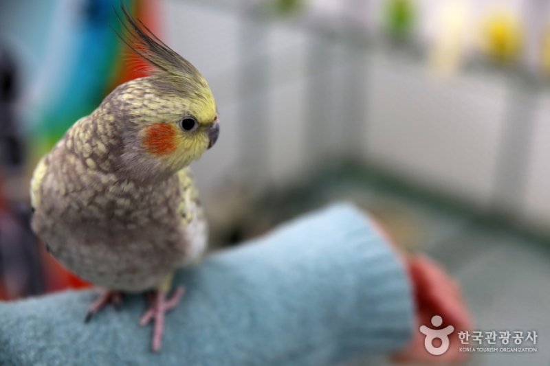 コウン植物園 (6/27)