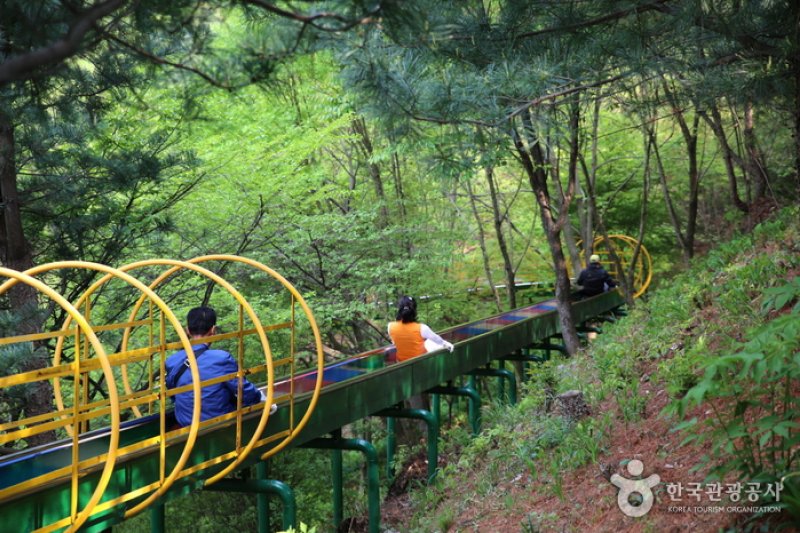 コウン植物園 (14/27)