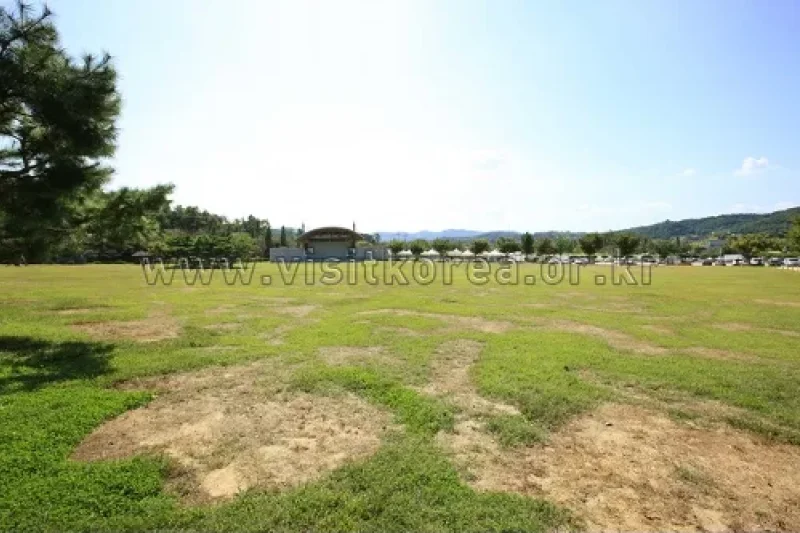 神井湖観光地 (18/26)