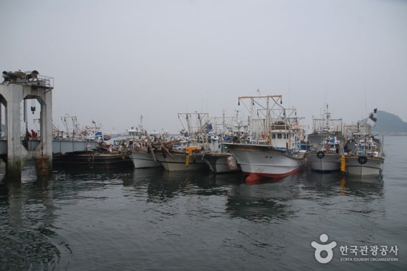 新津島 (2/8)