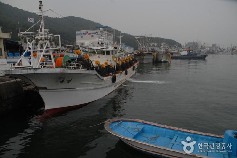新津島 (4/8)