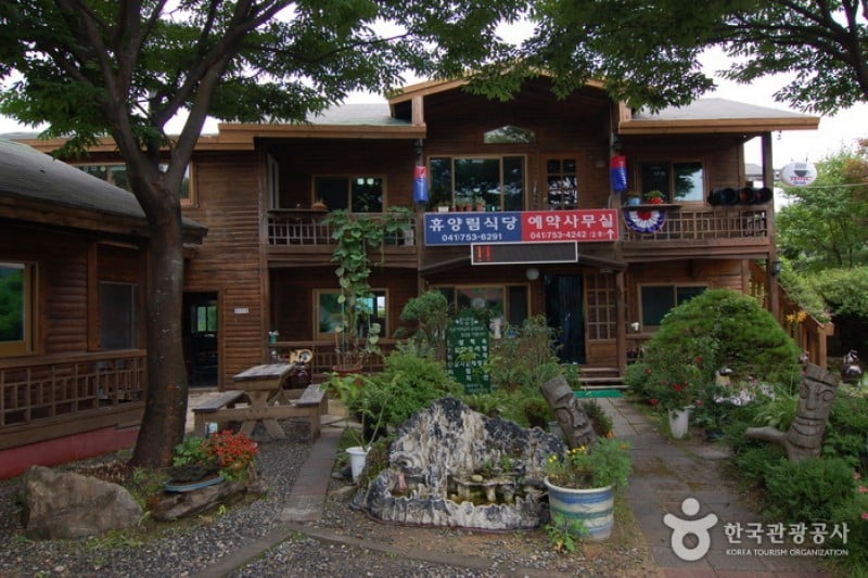 大屯山自然休養林 (1/25)