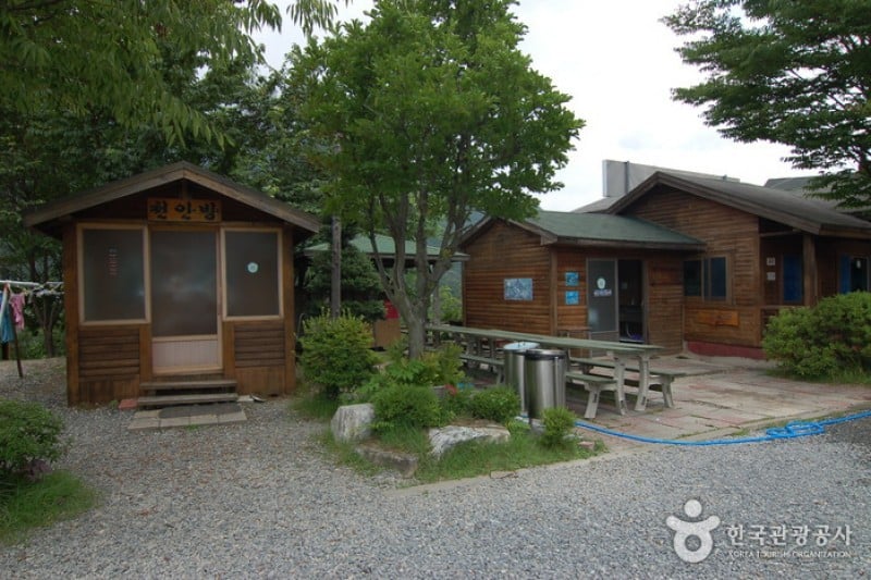 大屯山自然休養林 (3/25)