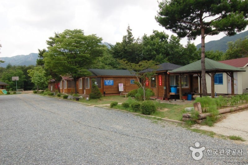 大屯山自然休養林 (5/25)