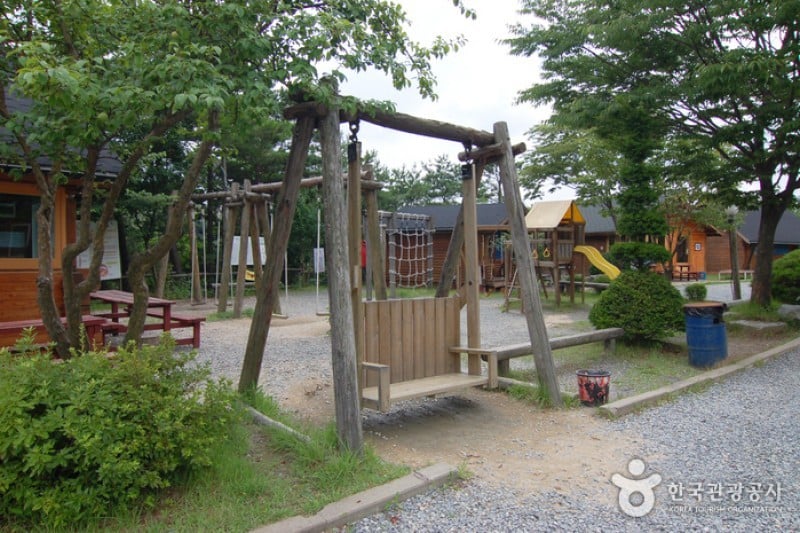 大屯山自然休養林 (9/25)