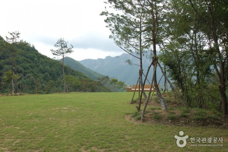 大屯山自然休養林 (15/25)