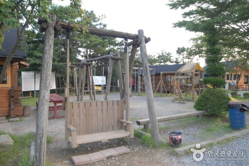 大屯山自然休養林 (16/25)