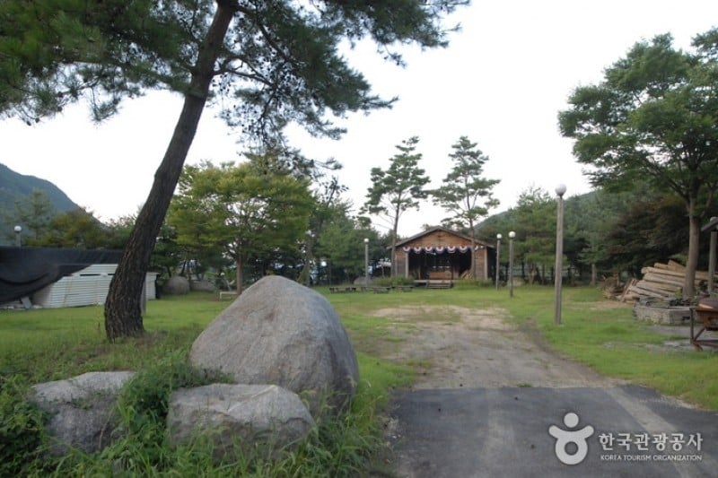 大屯山自然休養林 (18/25)