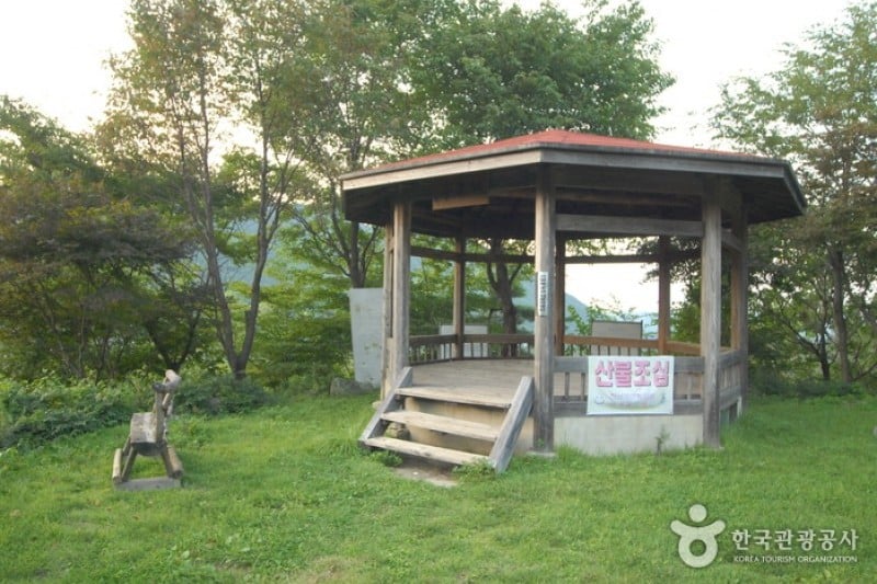 大屯山自然休養林 (19/25)