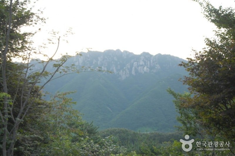 大屯山自然休養林 (20/25)