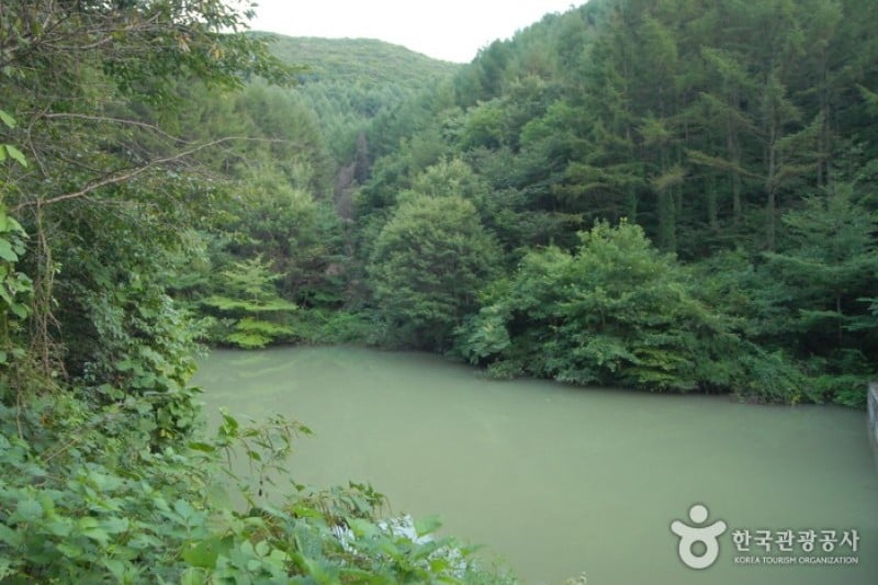 大屯山自然休養林 (24/25)