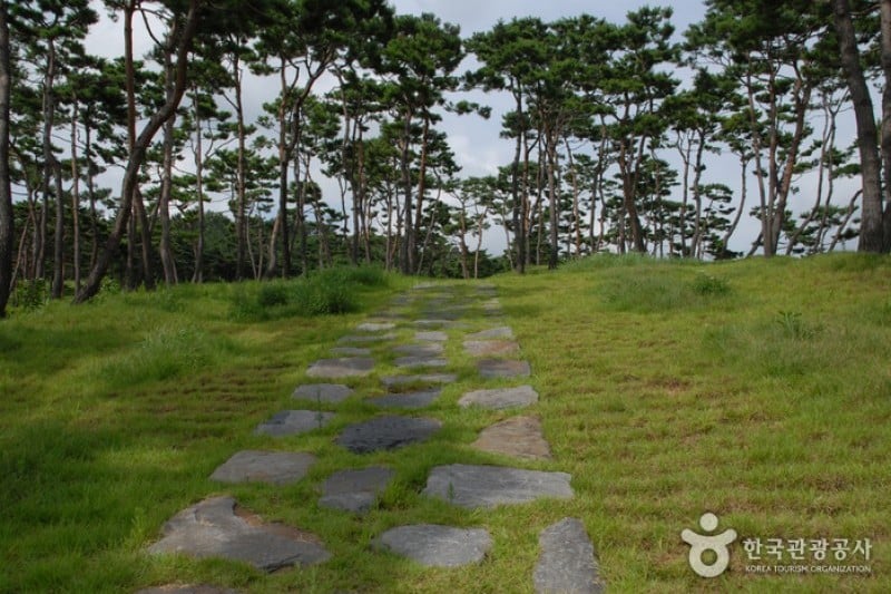 階伯将軍遺跡地 (32/38)