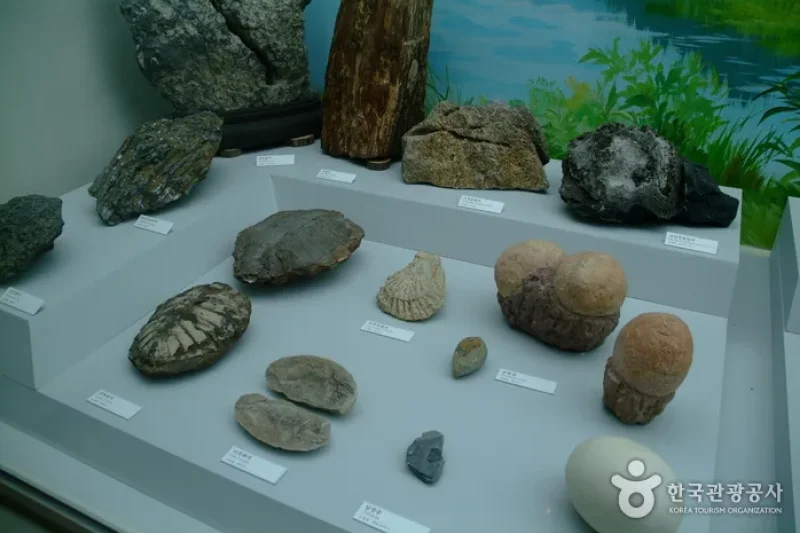 公州石荘里遺跡 (6/22)