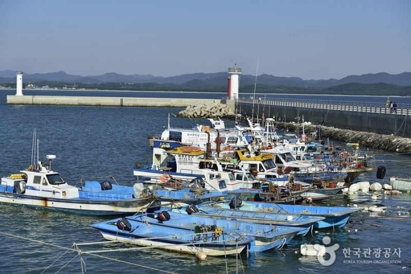 舒川 馬良浦口 (8/13)