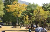天安サムゴリ公園