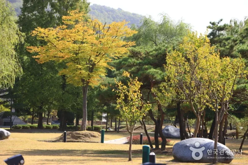 天安サムゴリ公園 (1/11)