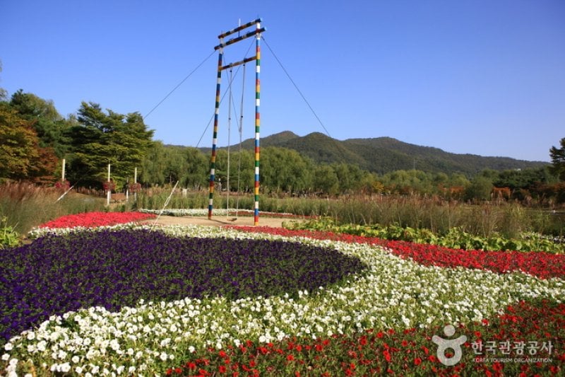 天安サムゴリ公園 (11/11)