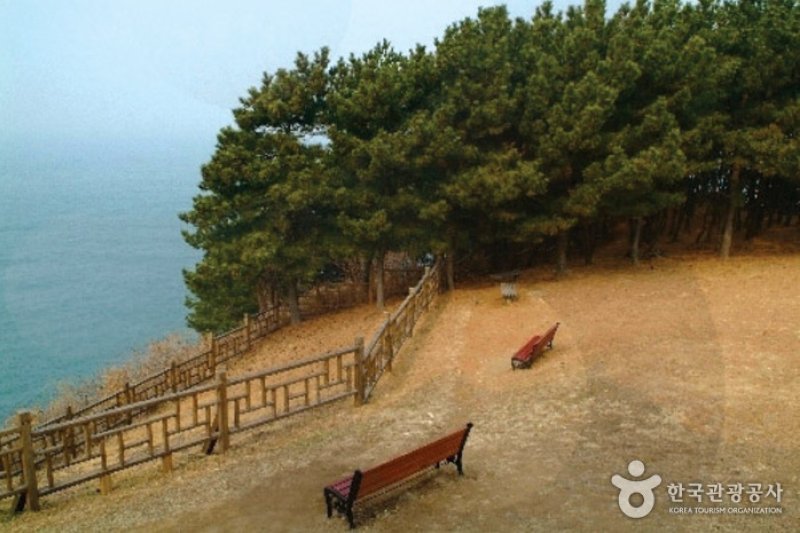 舒川 タルゴゲカラムシ村 (5/11)