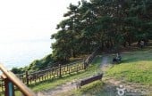 舒川 馬梁里ツバキの森