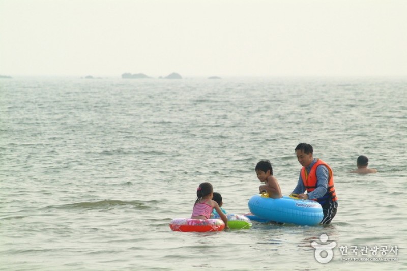 武昌浦神秘の海割れ大海老・コノシロ祭り무창포 신비의 바닷길 대하ㆍ전어축제 (2/10)