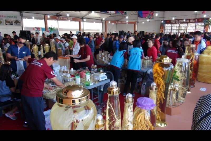 錦山高麗人蔘祭り (15/21)