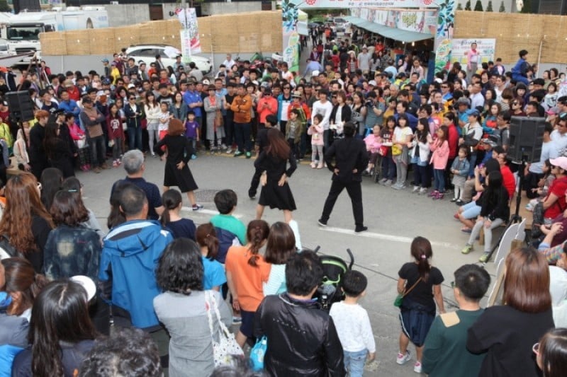 錦山高麗人蔘祭り (17/21)