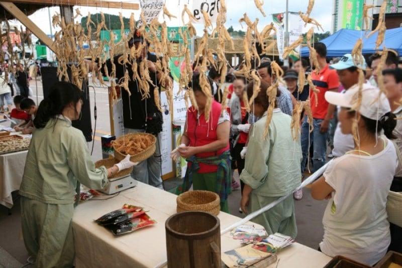 錦山高麗人蔘祭り (19/21)