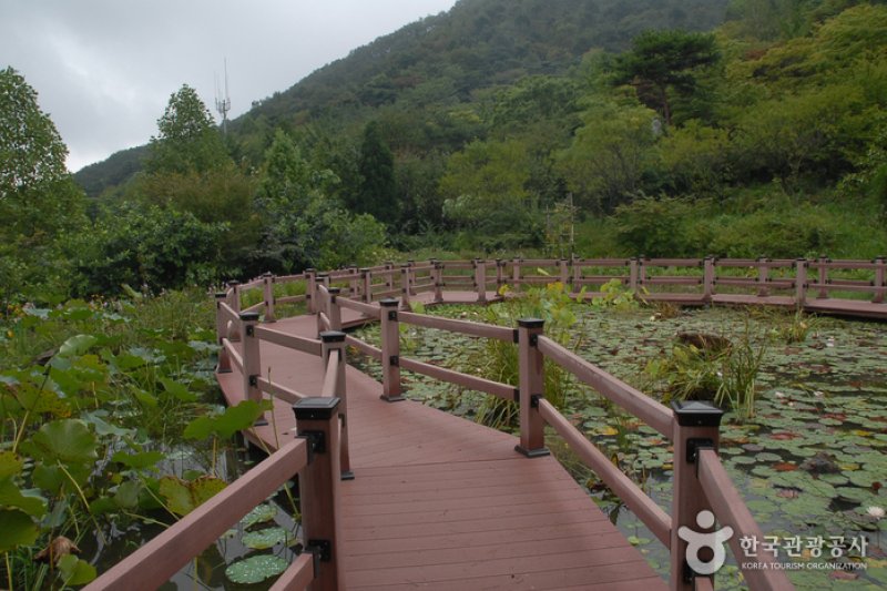 コウン植物園 (16/27)