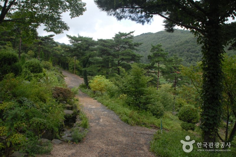 コウン植物園 (17/27)