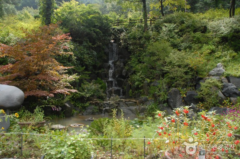 コウン植物園 (20/27)