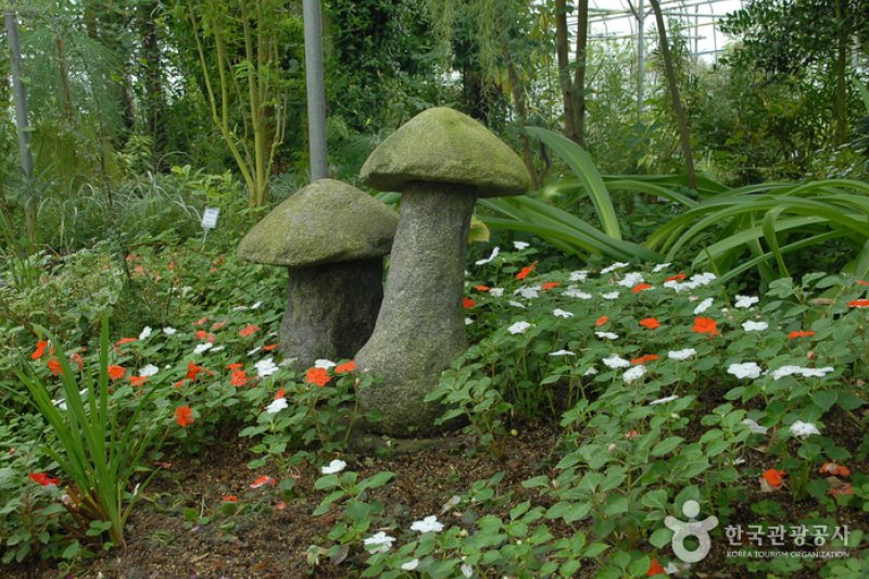 コウン植物園 (23/27)