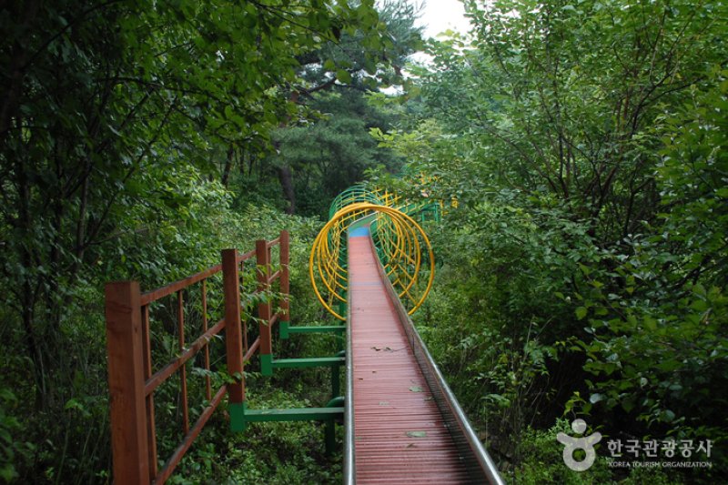 コウン植物園 (24/27)
