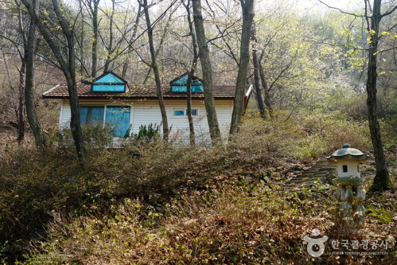 コウン植物園 (27/27)