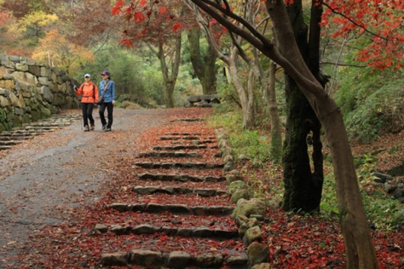 無等山国立公園 (3/45)