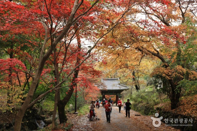 無等山国立公園 (4/45)