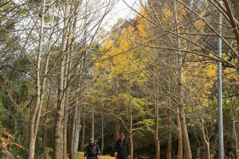 無等山国立公園 (7/45)
