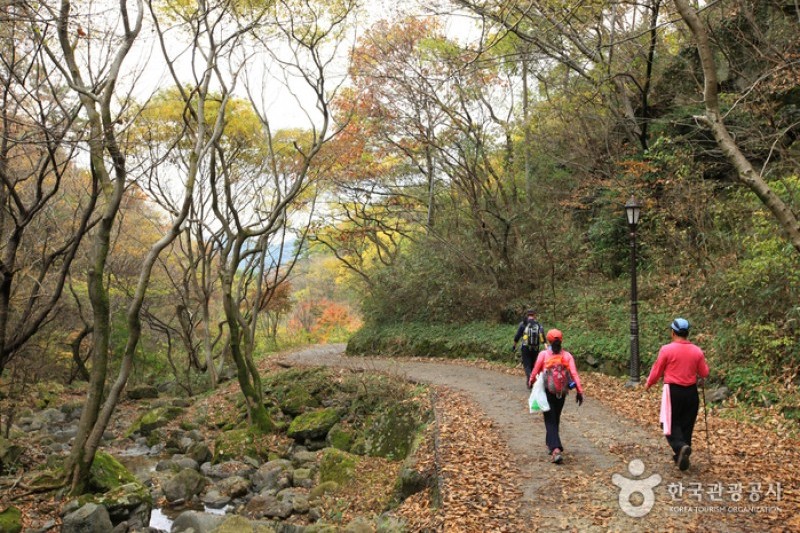 無等山国立公園 (8/45)