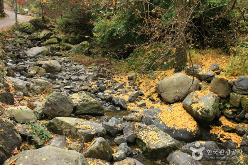無等山国立公園 (10/45)